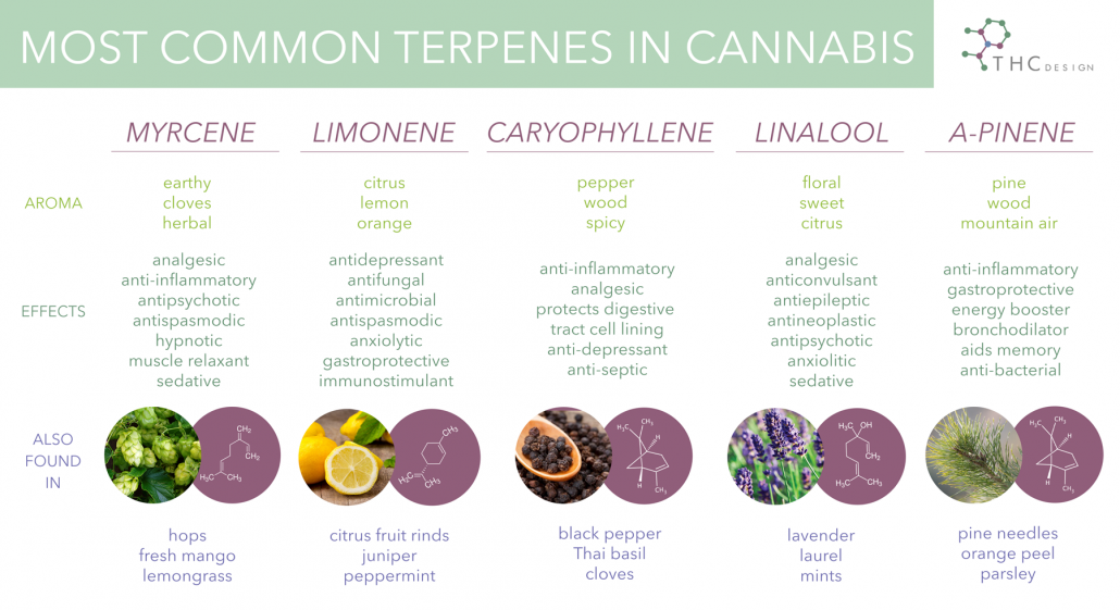 KCM THC Terpenes v2